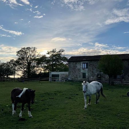 Gite A La Campagne Au Bord D'Un Lac 8 Personnes Saint-Quentin-sur-Charente Exteriér fotografie