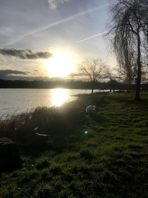 Gite A La Campagne Au Bord D'Un Lac 8 Personnes Saint-Quentin-sur-Charente Exteriér fotografie