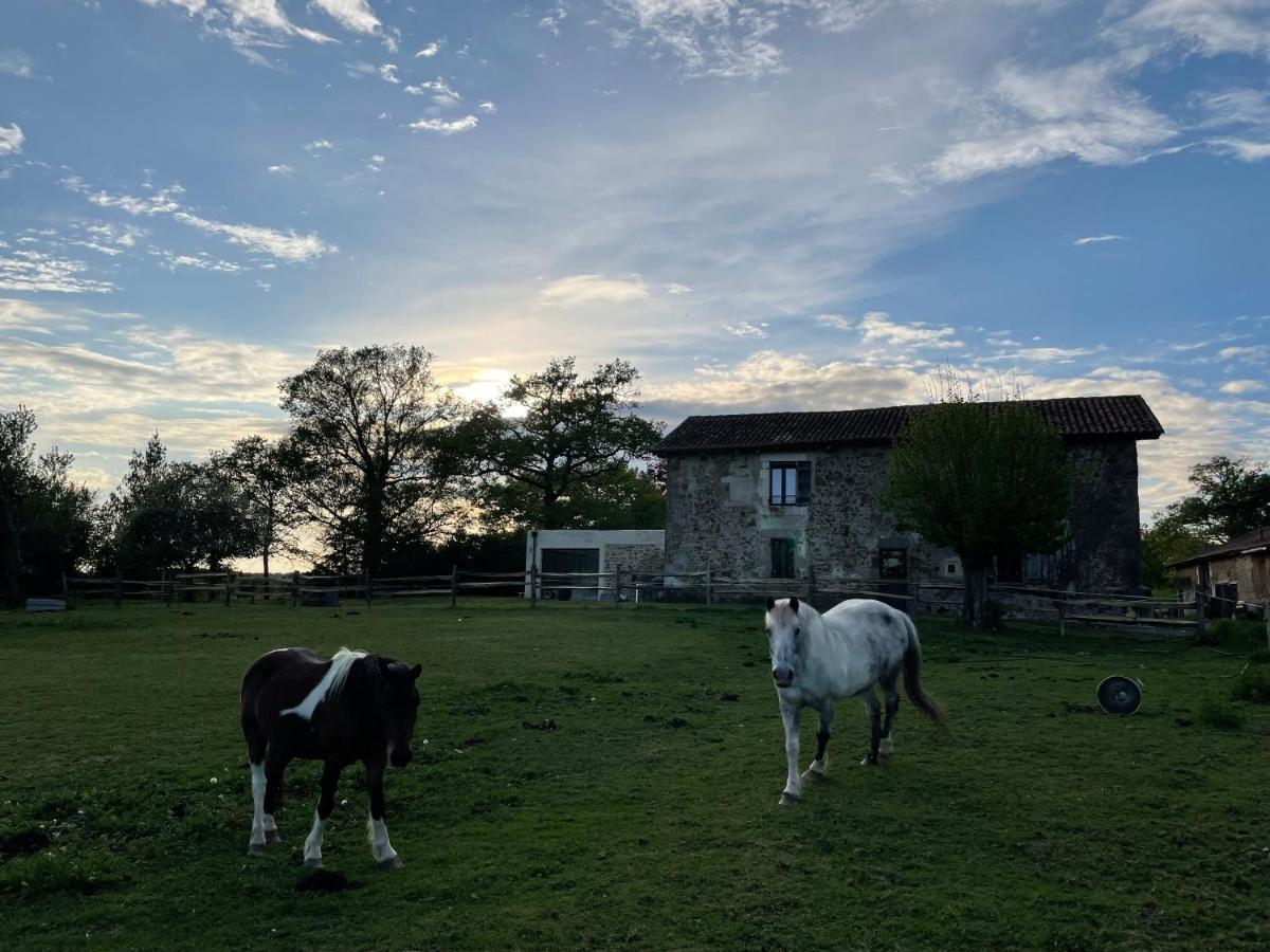 Gite A La Campagne Au Bord D'Un Lac 8 Personnes Saint-Quentin-sur-Charente Exteriér fotografie